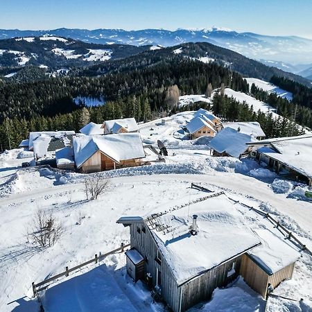 1A Chalet Eck - Wandern, Grillen, Panorama Sauna! Klippitztorl Екстер'єр фото